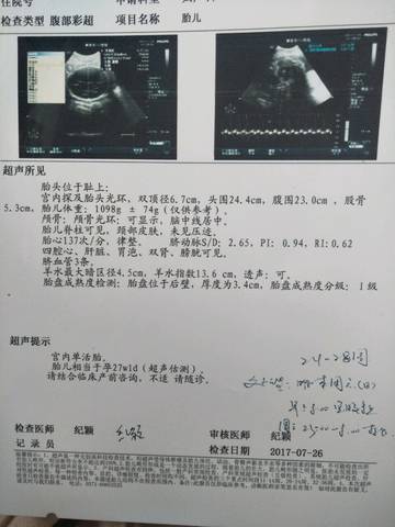 journal_insert_pic_800375219