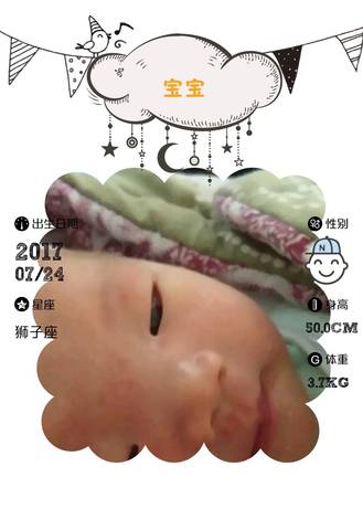 journal_insert_pic_800121848