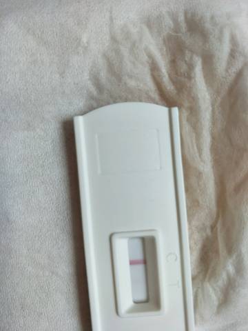 journal_insert_pic_801086883