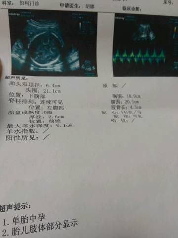journal_insert_pic_801579937