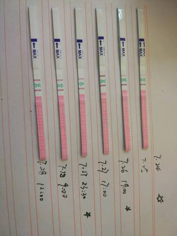 journal_insert_pic_801608108