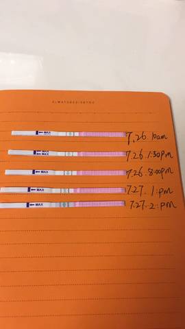 journal_insert_pic_801687050