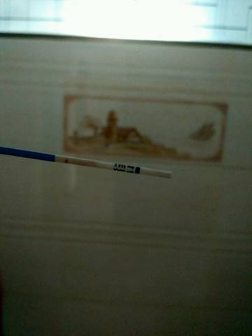 journal_insert_pic_801411147