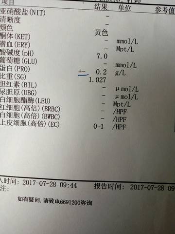 journal_insert_pic_801830196