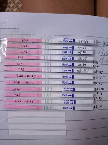 journal_insert_pic_802799245