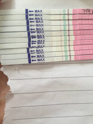 journal_insert_pic_802365632