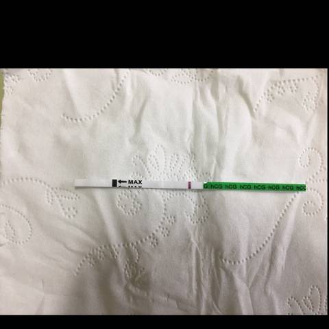 journal_insert_pic_802578847