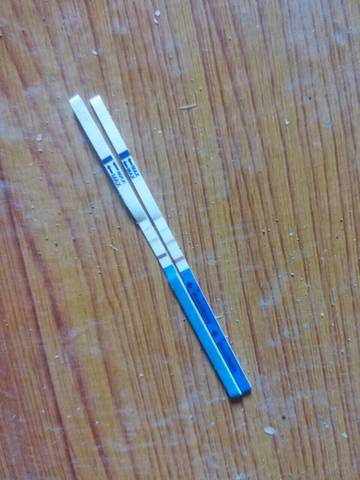journal_insert_pic_803674750