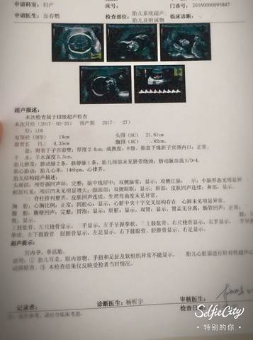 journal_insert_pic_805819018