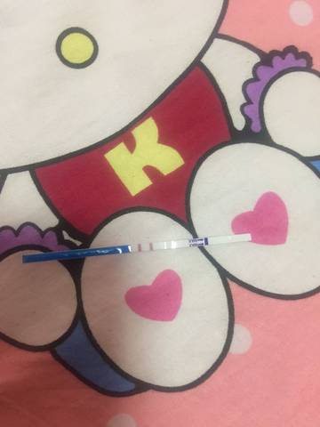 journal_insert_pic_807239949