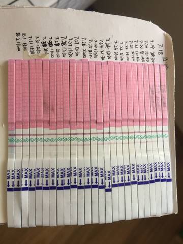 journal_insert_pic_807259491