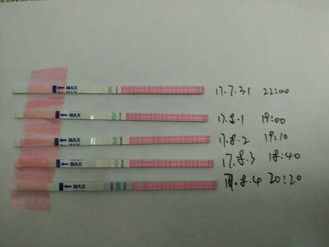 journal_insert_pic_807643472