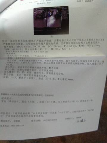 journal_insert_pic_807240018
