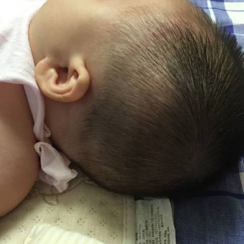 journal_insert_pic_807599157