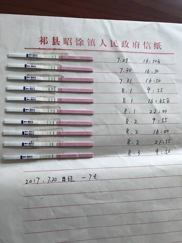 journal_insert_pic_807243989