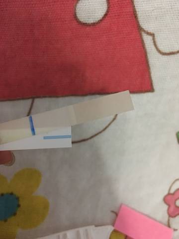 journal_insert_pic_808364925