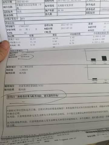 journal_insert_pic_808161085