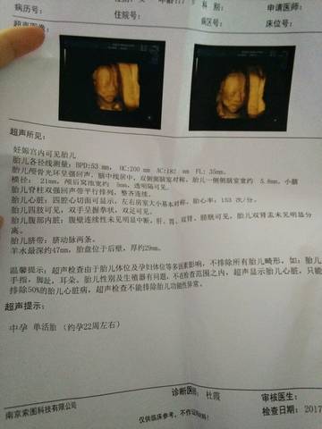 journal_insert_pic_808098581