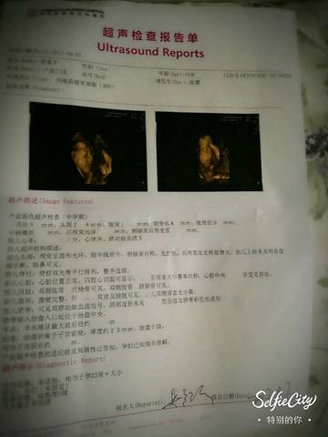 journal_insert_pic_809727914