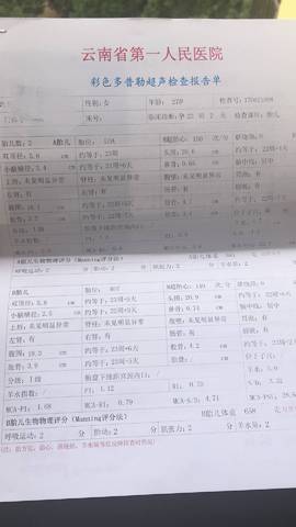 journal_insert_pic_810925946
