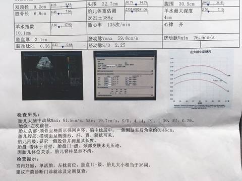 journal_insert_pic_810407626