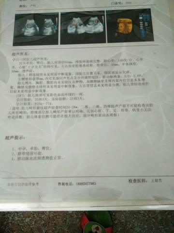 journal_insert_pic_810651762