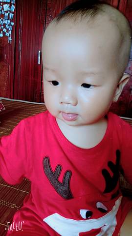 journal_insert_pic_811657202