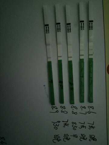 journal_insert_pic_811575894