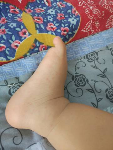journal_insert_pic_811201295