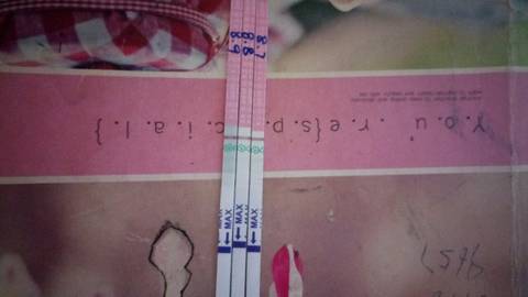 journal_insert_pic_811150948