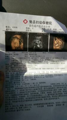 journal_insert_pic_812273228