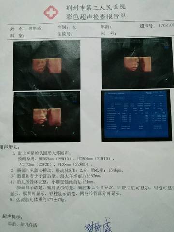 journal_insert_pic_812374412
