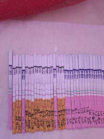 journal_insert_pic_812227191