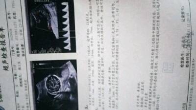 journal_insert_pic_812769615