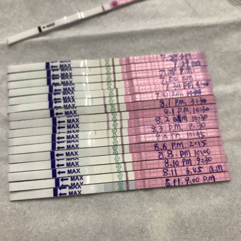 journal_insert_pic_813026382