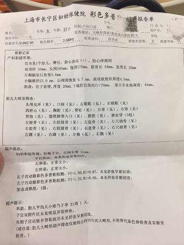 journal_insert_pic_813639501