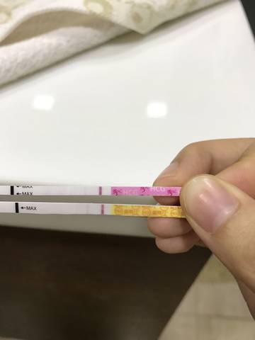 journal_insert_pic_813348355