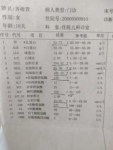journal_insert_pic_813603408