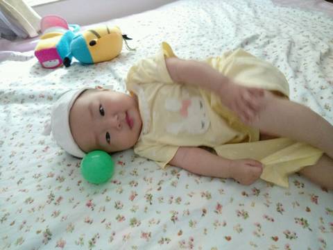 journal_insert_pic_813388354
