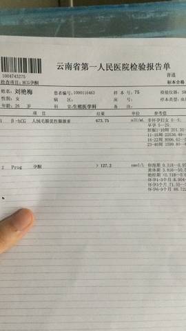 journal_insert_pic_814084821