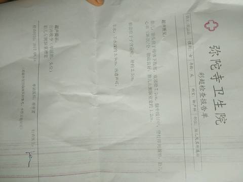 journal_insert_pic_815095587