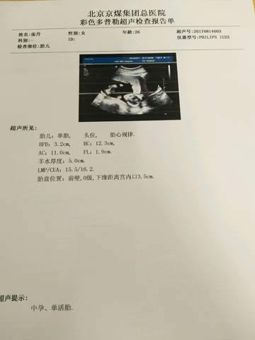 journal_insert_pic_815310840