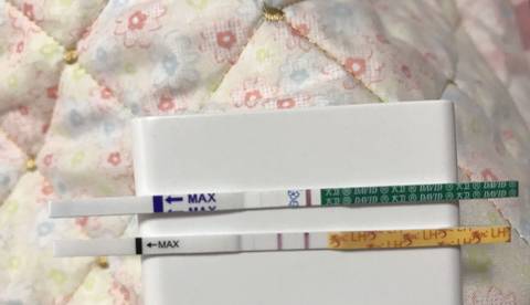 journal_insert_pic_815472580