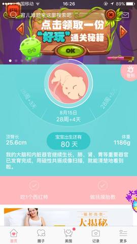 journal_insert_pic_815835083