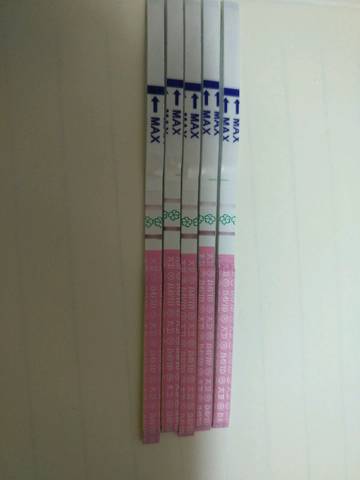 journal_insert_pic_815525508