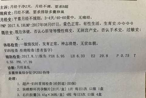 journal_insert_pic_816620536