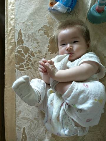 journal_insert_pic_816434036
