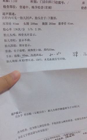 journal_insert_pic_816874041