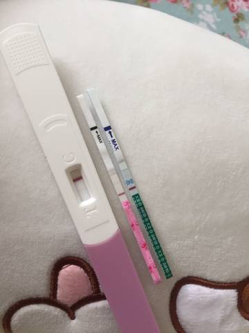 journal_insert_pic_817158324