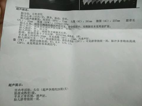 journal_insert_pic_817191919